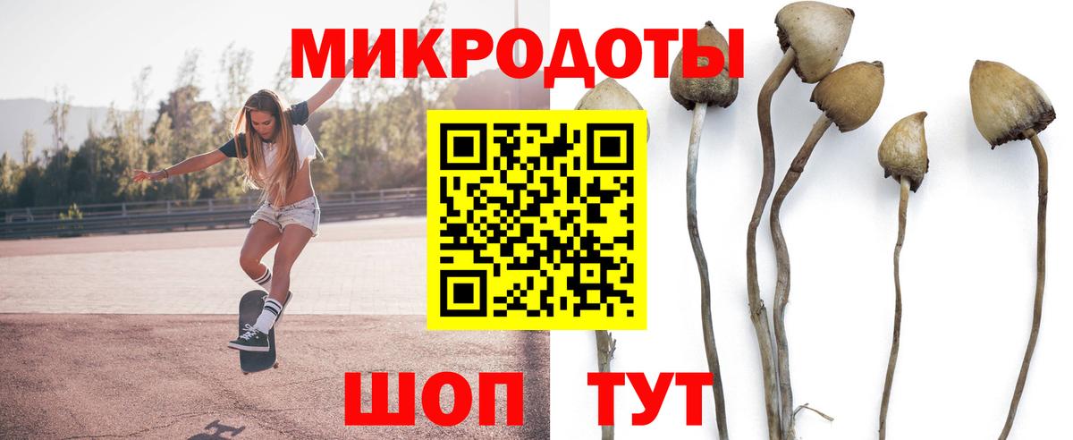 Псилоцибиновые грибы Magic Shrooms Чусовой